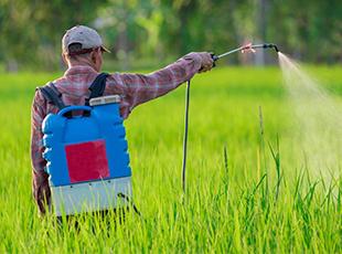 
Agro Focus International (Imported Agricultural Seeds, High-Yield Crop Seeds, Hybrid & Certified Seeds, Vegetable & Fruit Seeds for Sri Lanka, Seed Import & Distribution, Agricultural Machinery Imports, Modern Farming Equipment, Farm Mechanization Solutions, Trusted Agri-Technology Partner)
