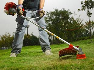 
Agro Focus International (Imported Agricultural Seeds, High-Yield Crop Seeds, Hybrid & Certified Seeds, Vegetable & Fruit Seeds for Sri Lanka, Seed Import & Distribution, Agricultural Machinery Imports, Modern Farming Equipment, Farm Mechanization Solutions, Trusted Agri-Technology Partner)
