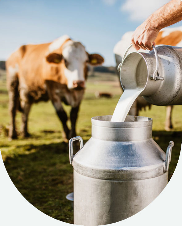 
Agro Focus International (Imported Agricultural Seeds, High-Yield Crop Seeds, Hybrid & Certified Seeds, Vegetable & Fruit Seeds for Sri Lanka, Seed Import & Distribution, Agricultural Machinery Imports, Modern Farming Equipment, Farm Mechanization Solutions, Trusted Agri-Technology Partner)
